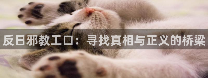 汗汗漫画肉：反日邪教工口：寻找真相与正义的桥梁