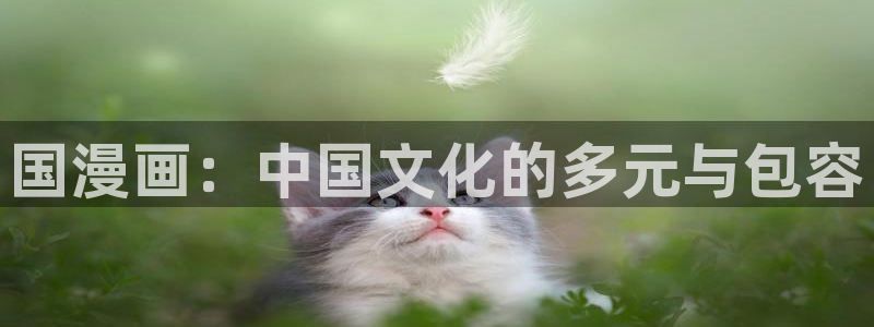 汗汗漫画免费观看在线阅读：国漫画：中国文化的多元与包容