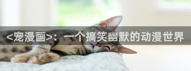 汗汗漫画免费看网站：<宠漫画>：一个搞笑幽默的动漫世界