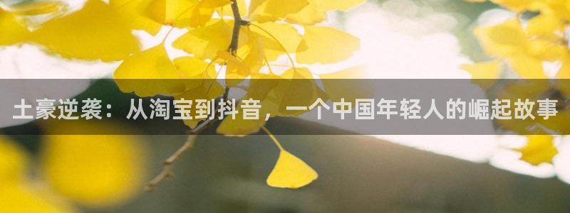 汗汗漫画入口处：土豪逆袭：从淘宝到抖音，一个中国年轻人的崛起故事