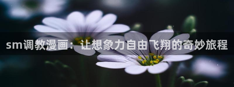 汗汗漫画是什么?：sm调教漫画：让想象力自由飞翔的奇妙旅程