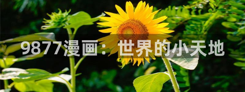 汗汗漫画cc：9877漫画：世界的小天地