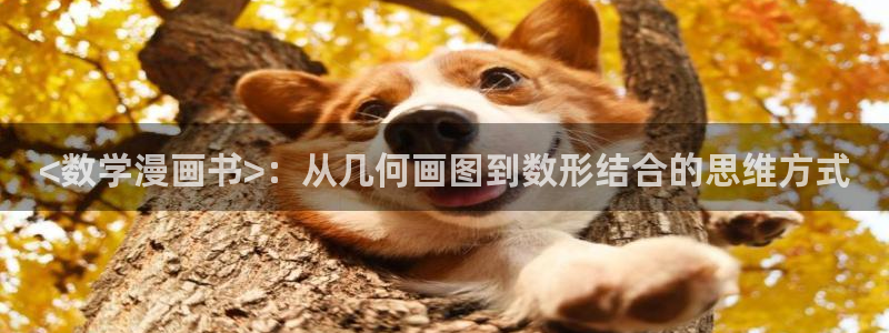 汗汗漫画一一歪歪漫画