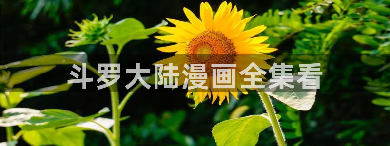 汗汗漫画改名叫什么了