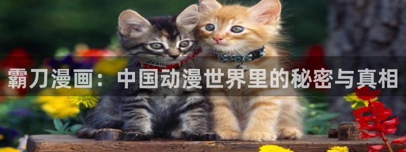 汗汗漫画中国漫画网：霸刀漫画：中国动漫世界里的秘密与真相