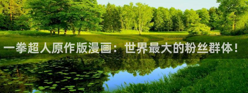 汗汗漫画海贼王：一拳超人原作版漫画：世界最大的粉丝群体！
